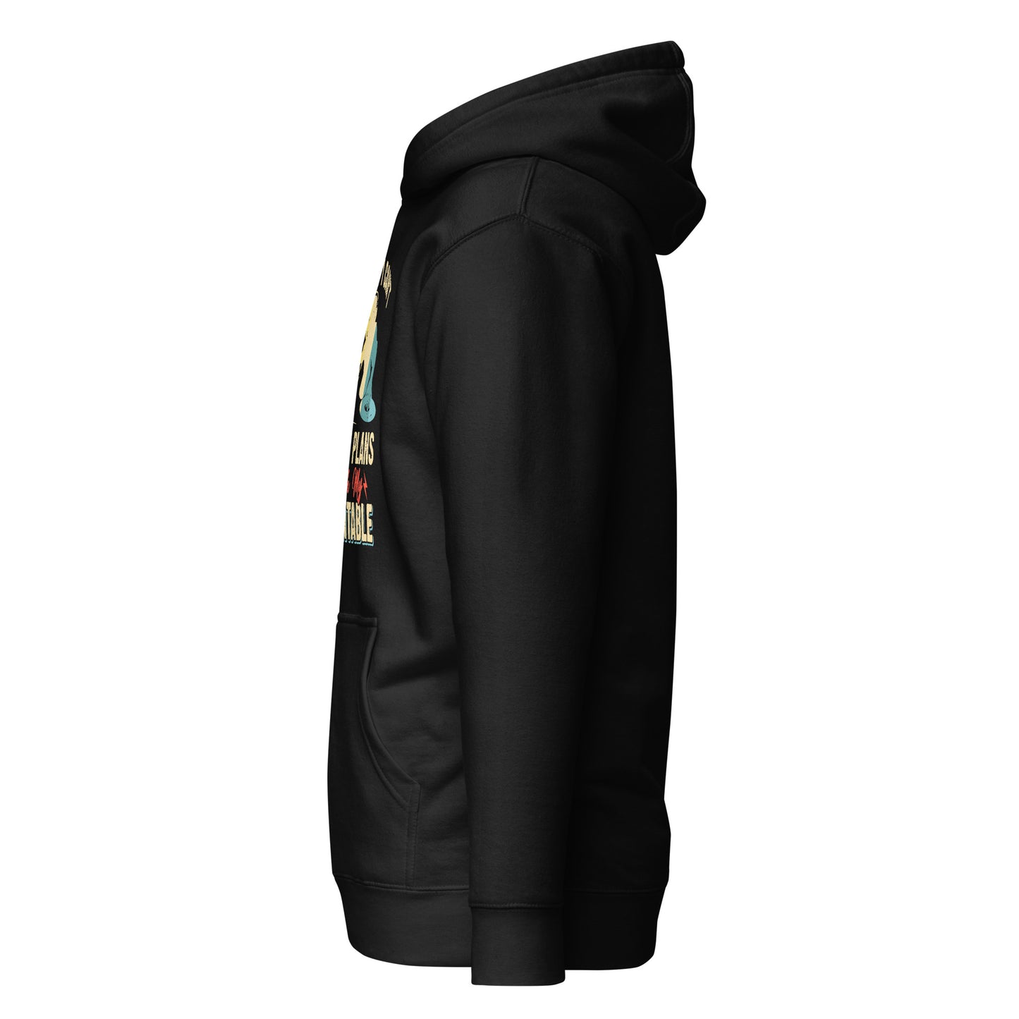 Sorry I Can't, I Have Plans With My Turntable Hoodie