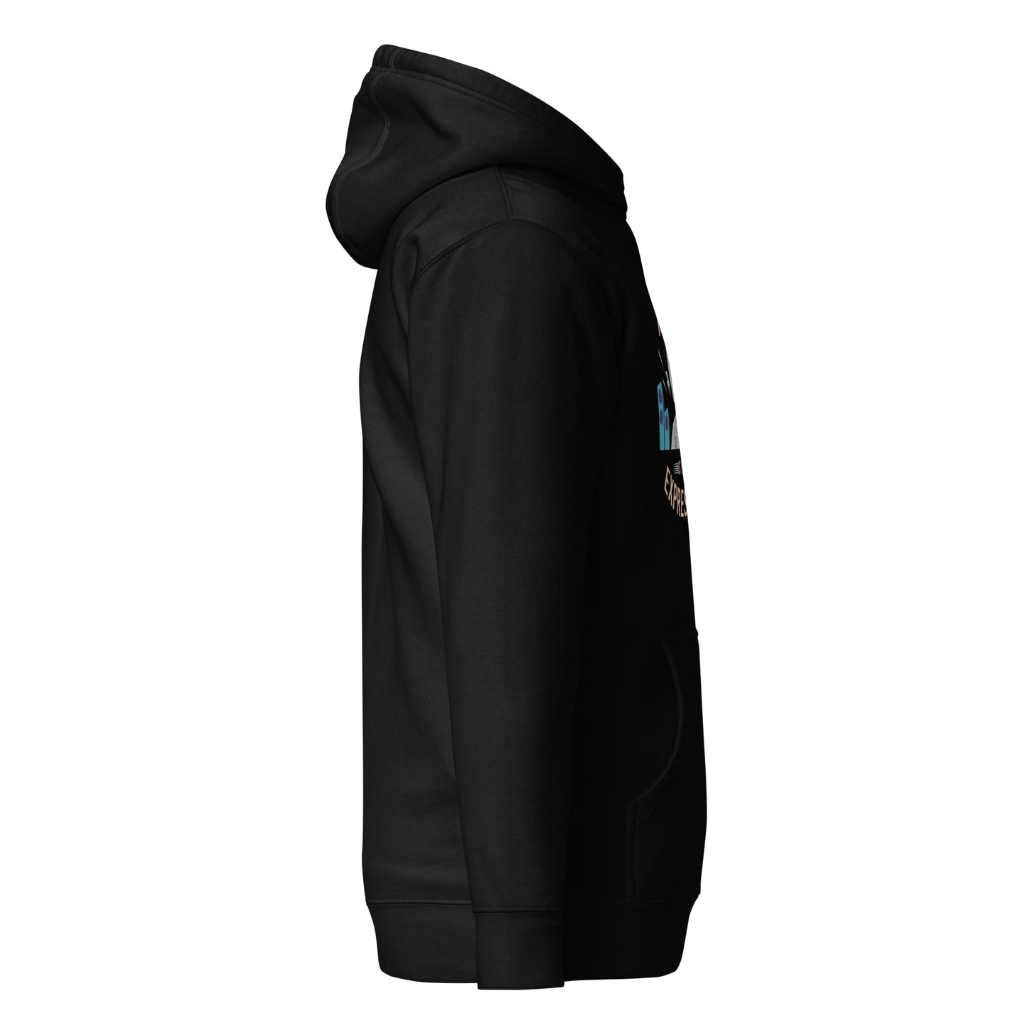 Music is your Expression Hoodie